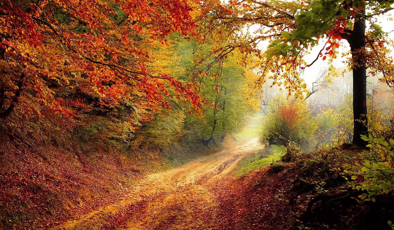 Stavební pozemek Vysočina